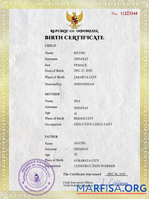 Realistic Indonesia vital record birth certificate PSD template